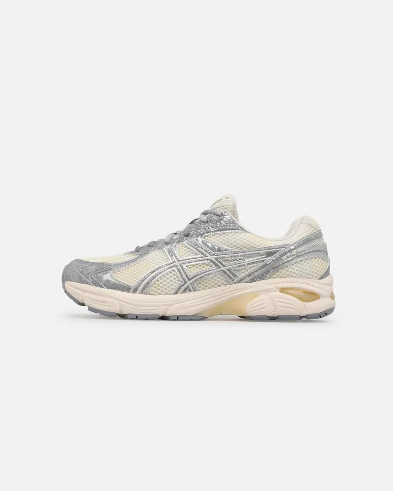Asics Gt-2160 'Aged Metal' Silver 1