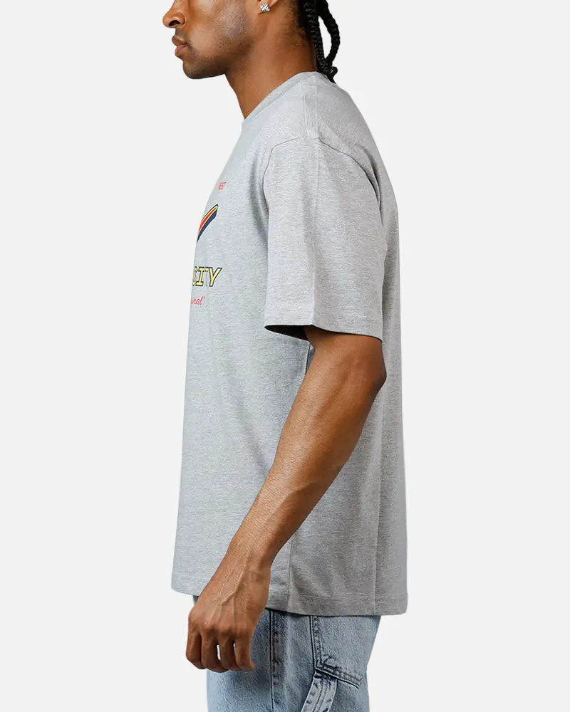 Avirex University T-Shirt Heather Grey 5