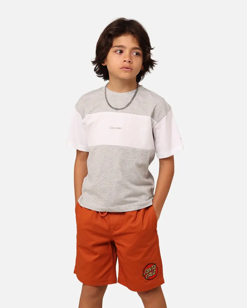Calvin Klein Kids' Colour Block T-Shirt Grey 1