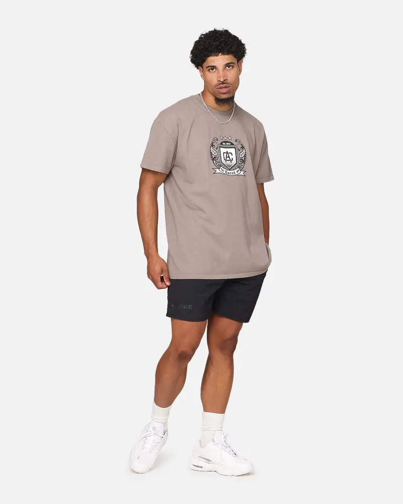 Carre Crested T-Shirt Dark Brown 2