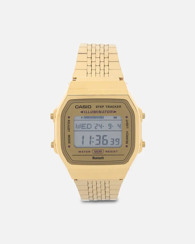 Casio Abl100weg-9A Watch Gold 1