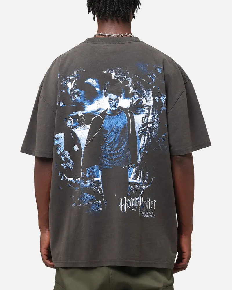 Goat Crew X Harry Potter Heavy T-Shirt Black Wash 2