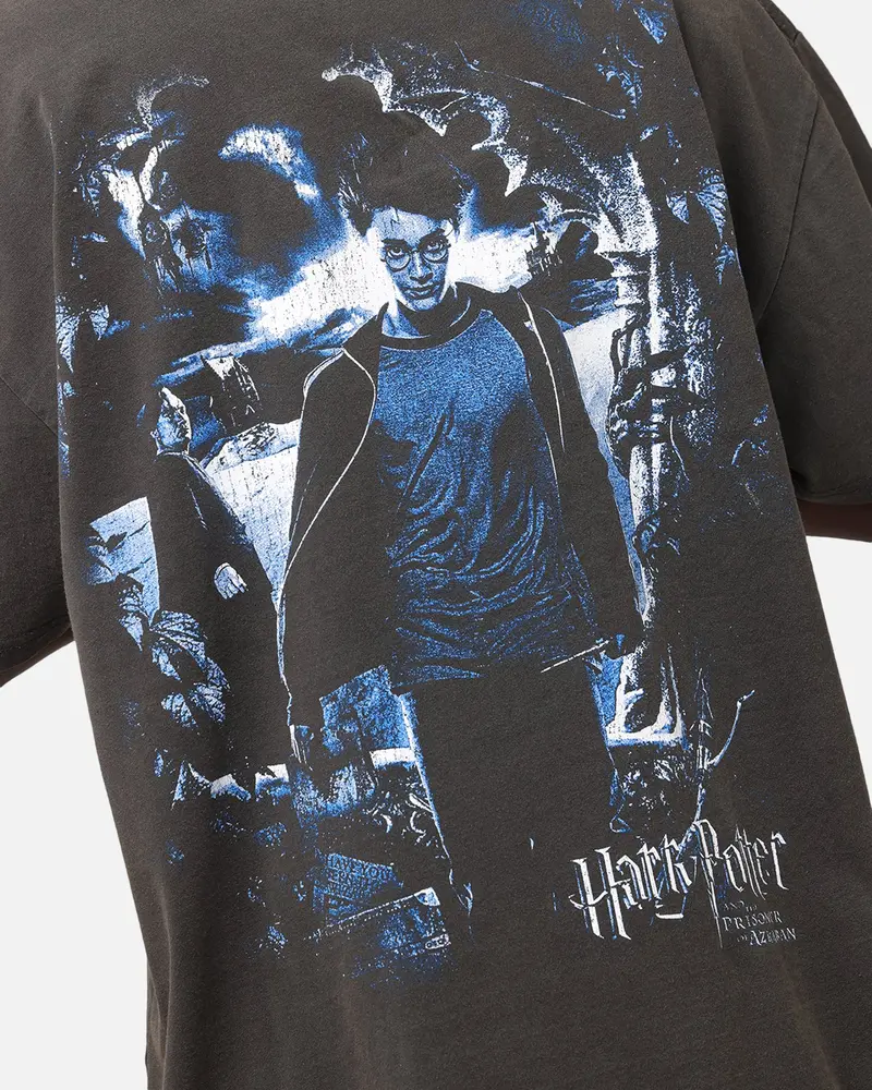 Goat Crew X Harry Potter Heavy T-Shirt Black Wash 7
