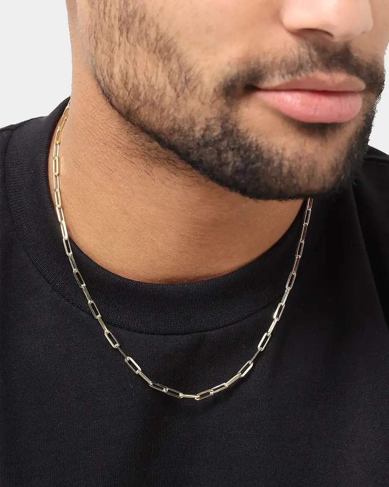 House Of Auric 10.5Mm Long Cable Chain 18K Gold Vermeil 1