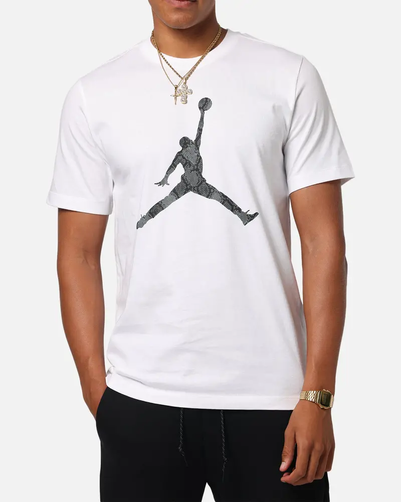 Jordan Jumpman Sport Dri-Fit T-Shirt White 6