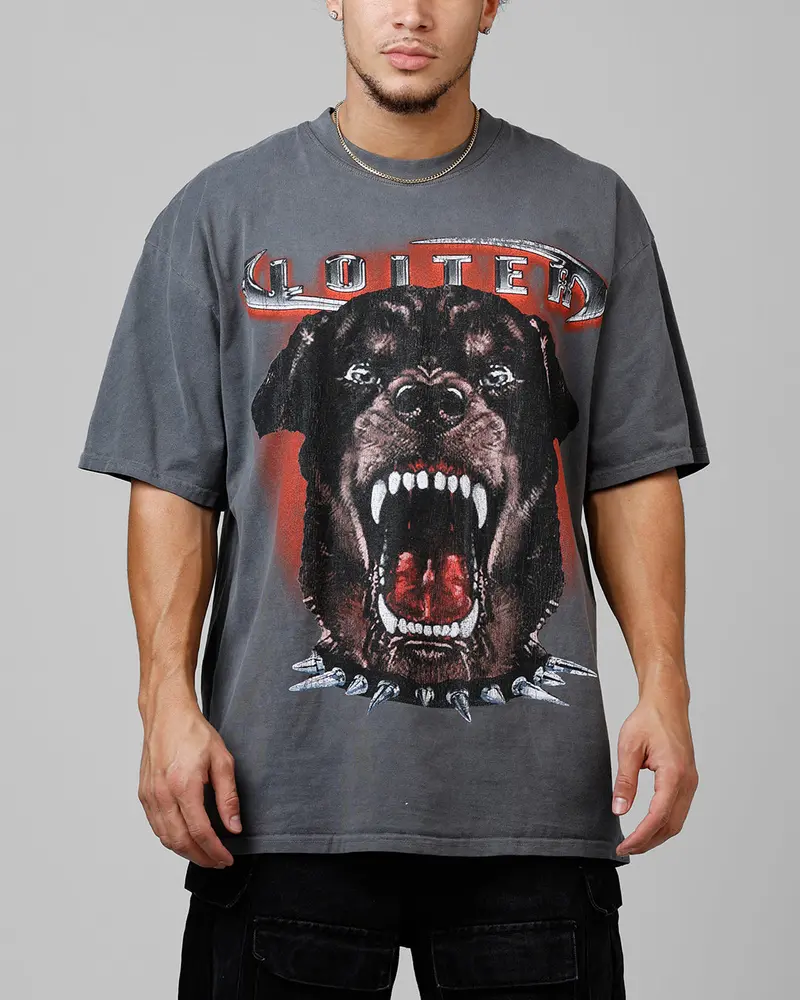Loiter Dog House Vintage T-Shirt Charcoal 1