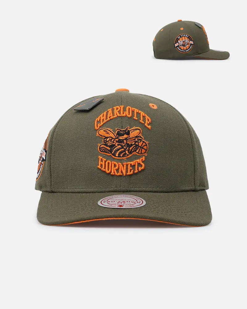 Mitchell & Ness Charlotte Hornets 'Harmony Of Hues' Pro Crown Snapback Olive/Orange 1