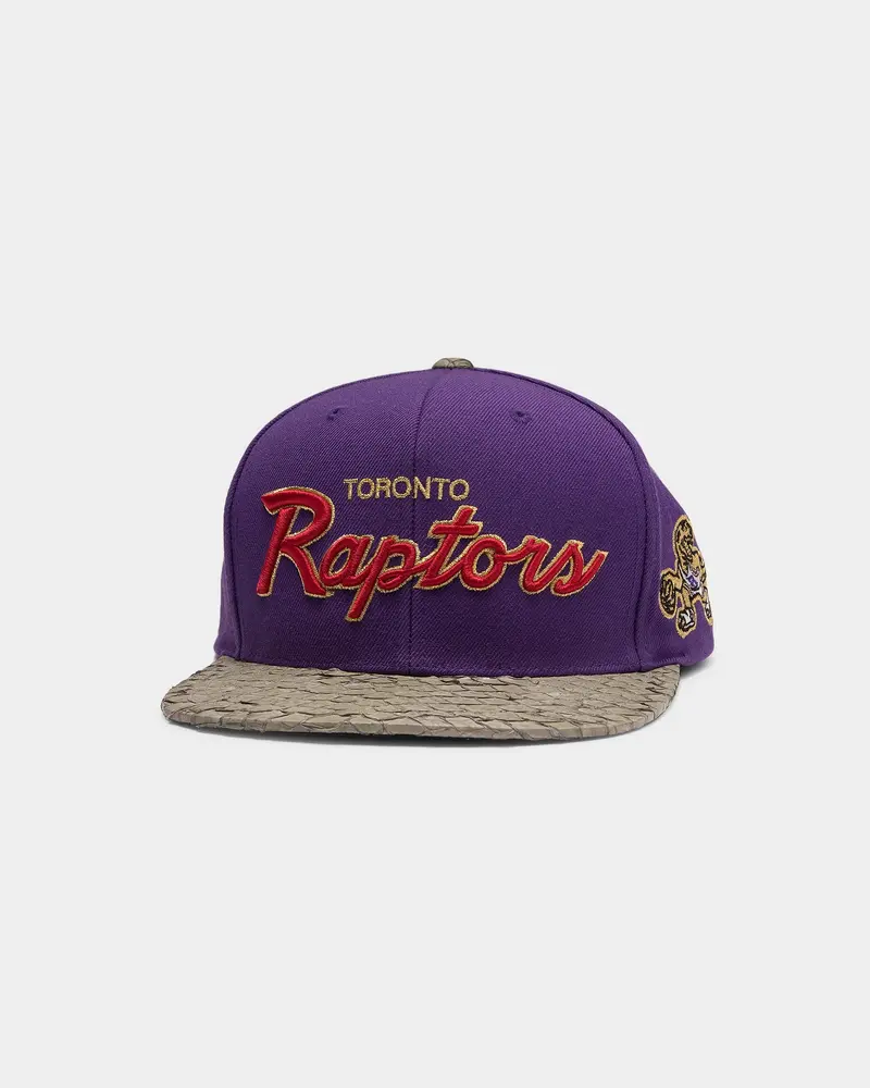 Mitchell & Ness Toronto Raptors Lux Carp Script Hwc Snapback Purple/Grey 1