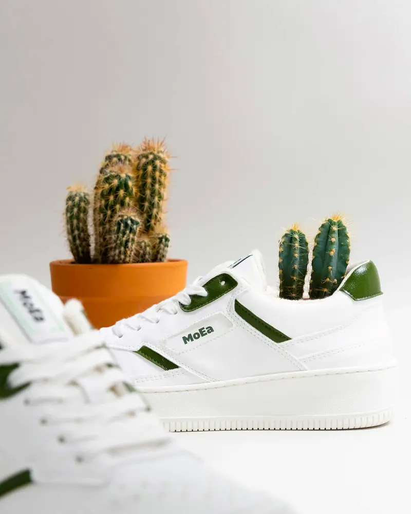 Moea Gen 1 Cactus Cactus White 1