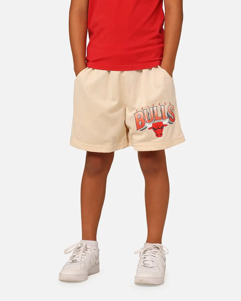 Nba Kids' Chicago Bulls Newark Mesh Shorts Light Oat 1