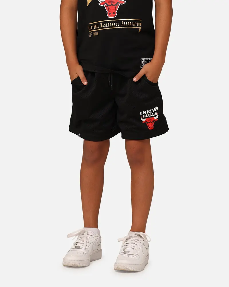 Nba Kids' Chicago Bulls Team Mesh Shorts Black 1