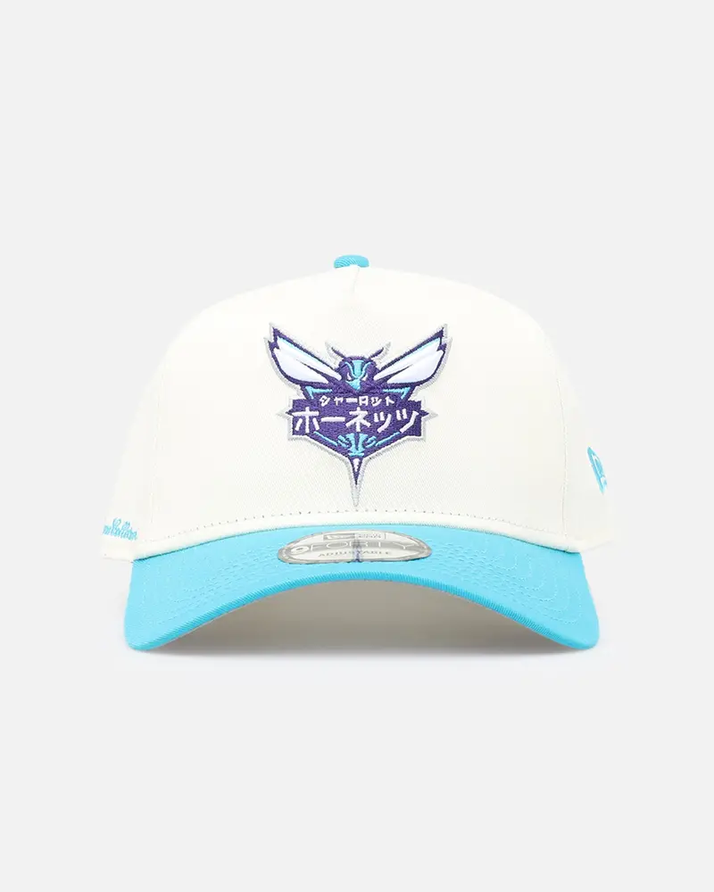 New Era Charlotte Hornets 'Nba X Hyperfly' 9Forty A-Frame Snapback Chrome White 1
