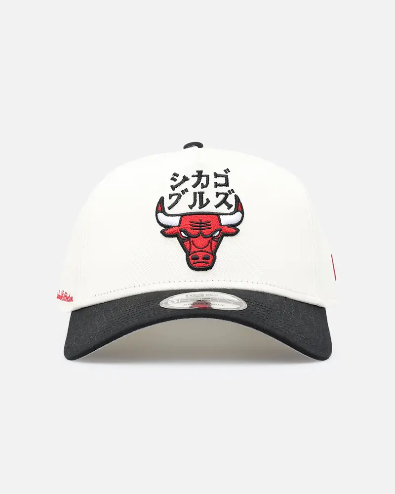 New Era Chicago Bulls 'Nba X Hyperfly' 9Forty A-Frame Snapback Chrome White 1