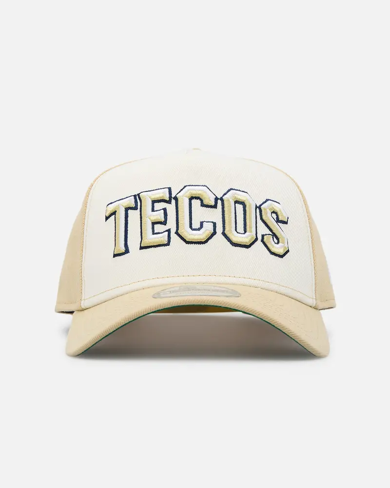 New Era Tecolotes Laredos"Liga Mexicana De Beisbol" 9Forty Snapback White 1