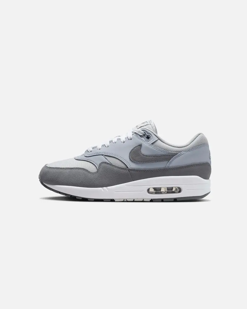 Nike Air Max 1 Photon Dust 1