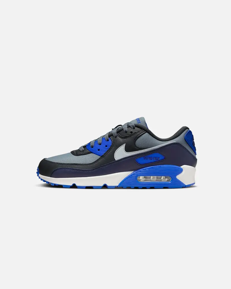 Nike Air Max 90 Gore-Tex Cool Grey 1