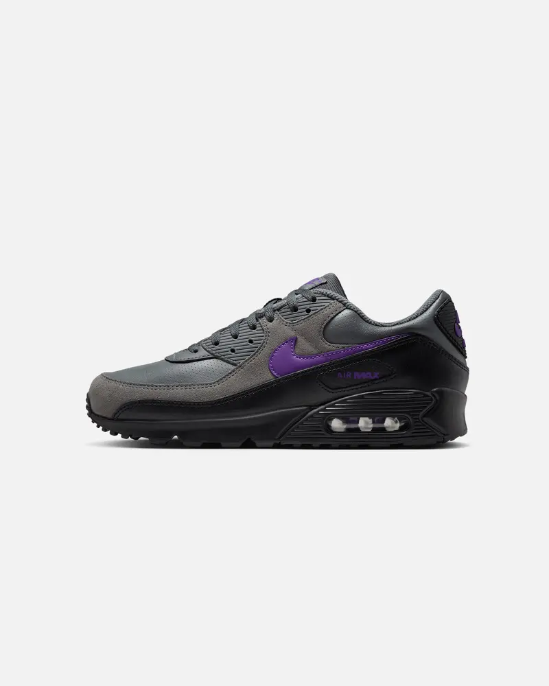 Nike Air Max 90 Iron Grey 1