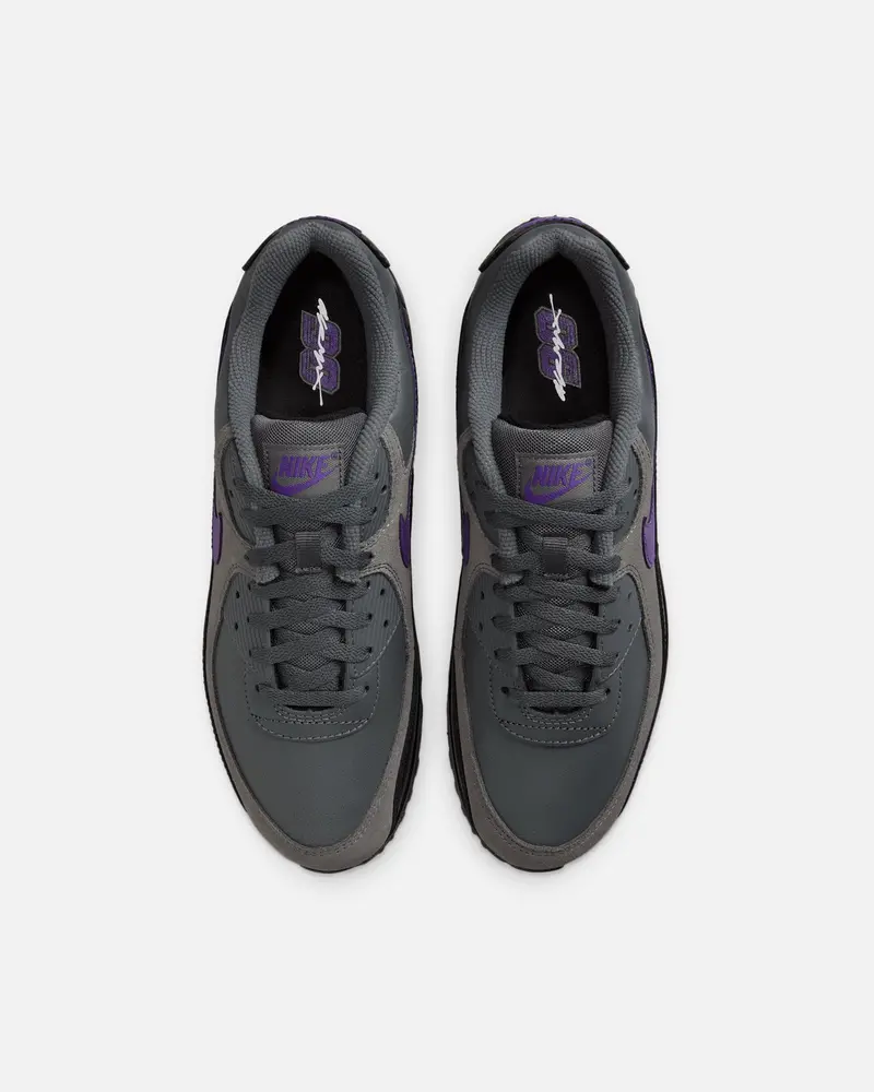 Nike Air Max 90 Iron Grey 7