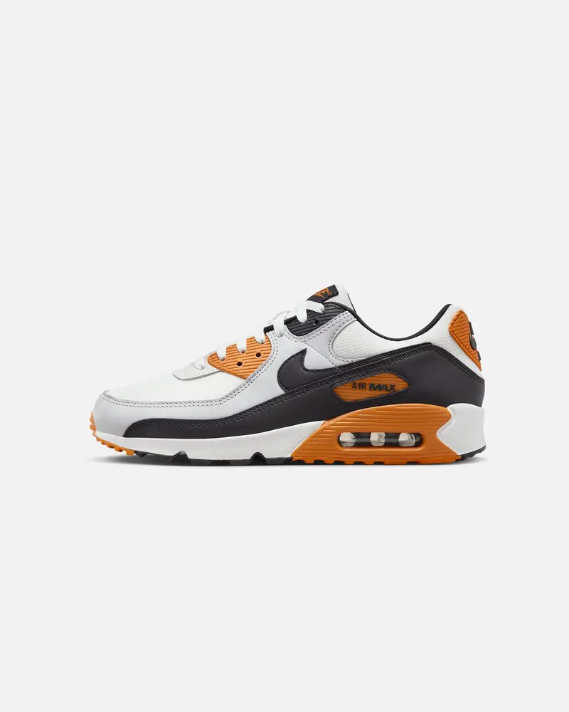 Nike Air Max 90 "Monarch" Pure Platinum/Summit White 1