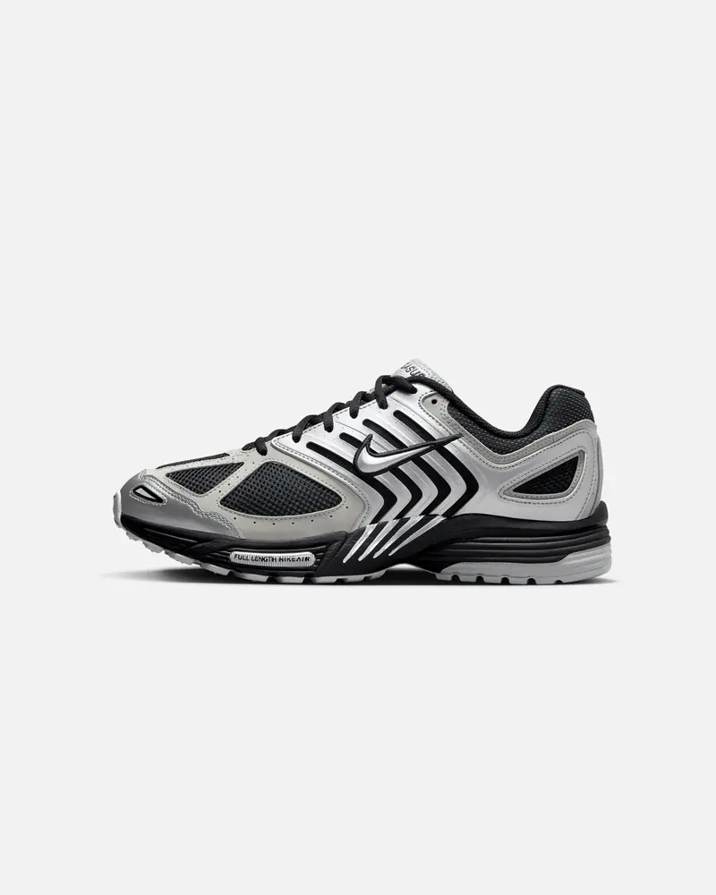 Nike Air Pegasus 2005 Metallic Silver 1