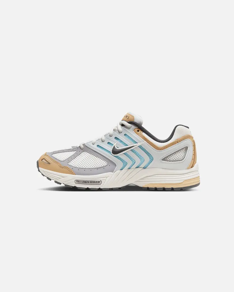 Nike Air Pegasus 2005 Sail/Anthracite 1