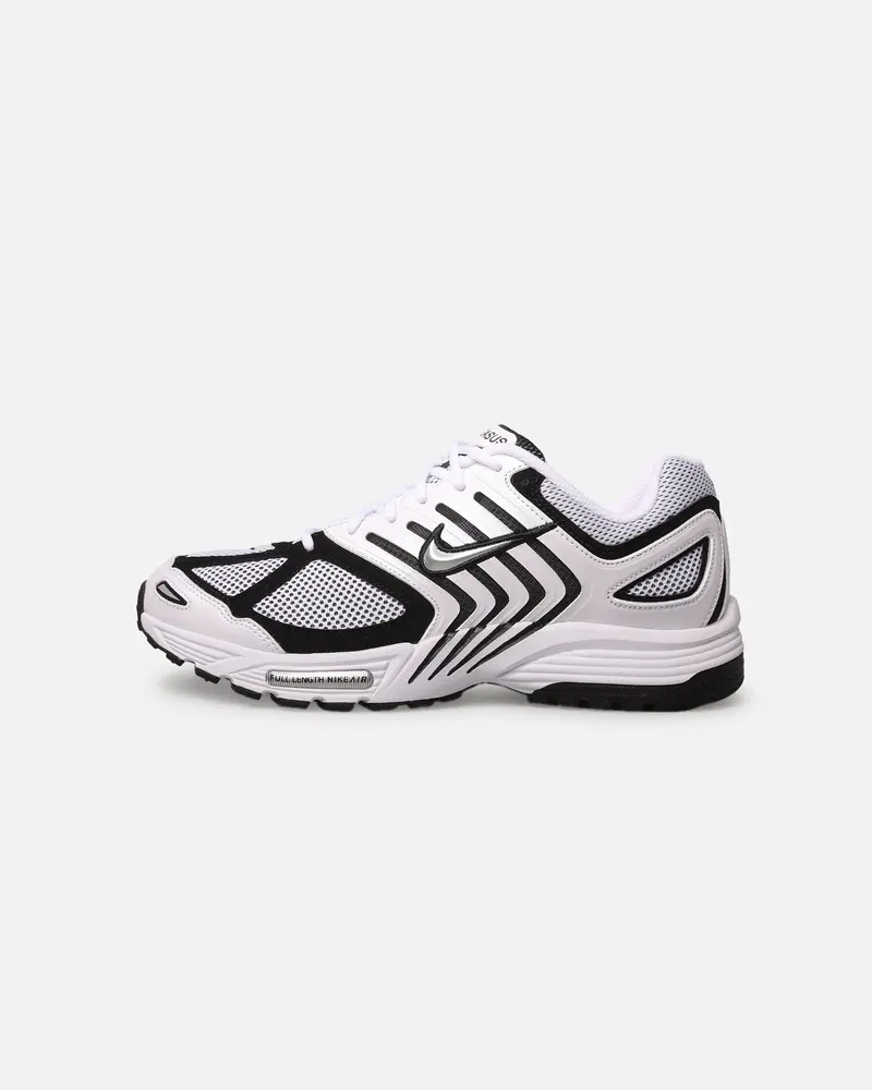Nike Air Pegasus 2005 White/Metallic 1
