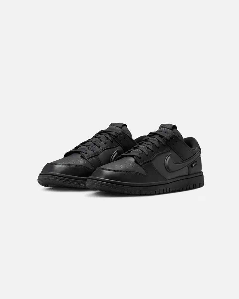 Nike Dunk Low Gore-Tex Black/White 2