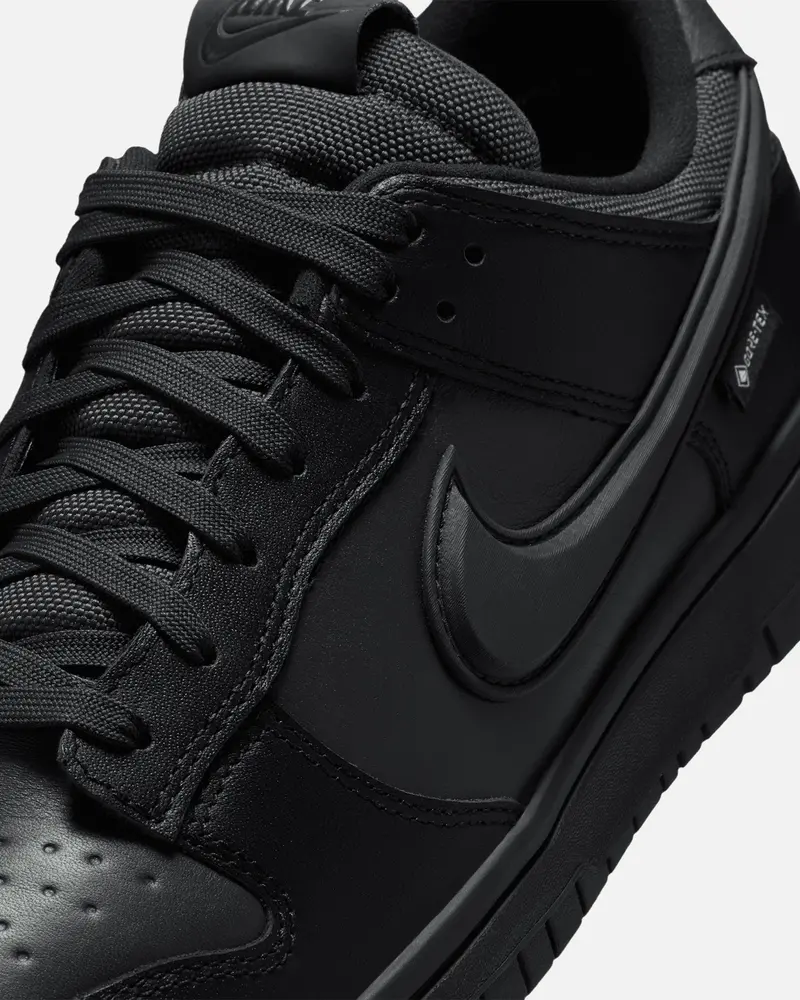Nike Dunk Low Gore-Tex Black/White 6