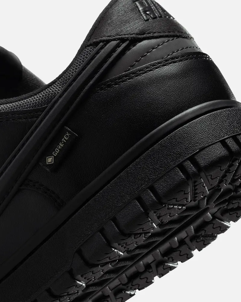 Nike Dunk Low Gore-Tex Black/White 8