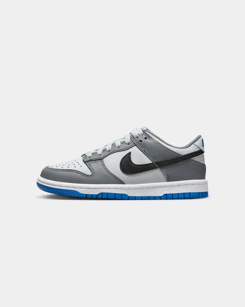 Nike Kids' Dunk Low (Gs) Cool Grey/Black 1