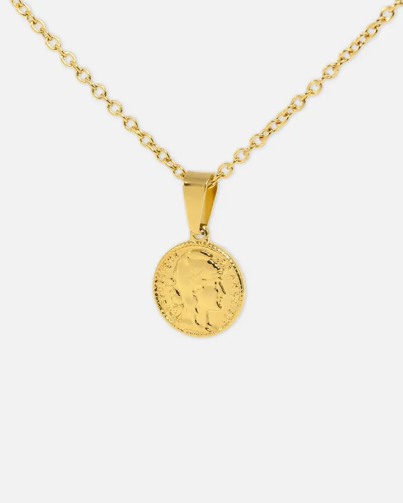 Nxs Gladiator Chain Gold 1