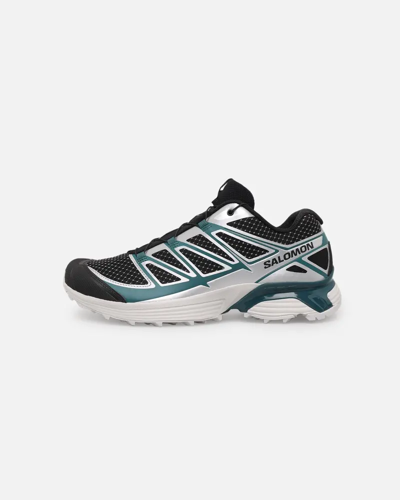 Salomon Xt-Pathway Metallic Metal Black 1