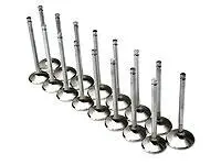 Brian Crower Standard 33.5Mm Intake Valves For Toyota 3Sgte Engine 1